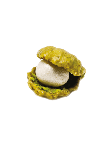 Coquille pistache