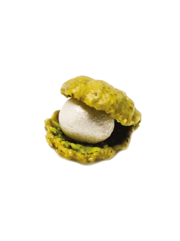  Coquille pistache 