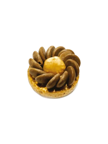  Moulin noisette 
