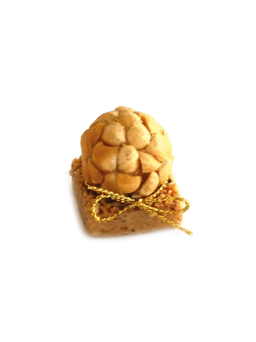  Coupe Noisette 