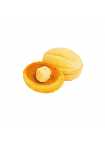Zouza noisette